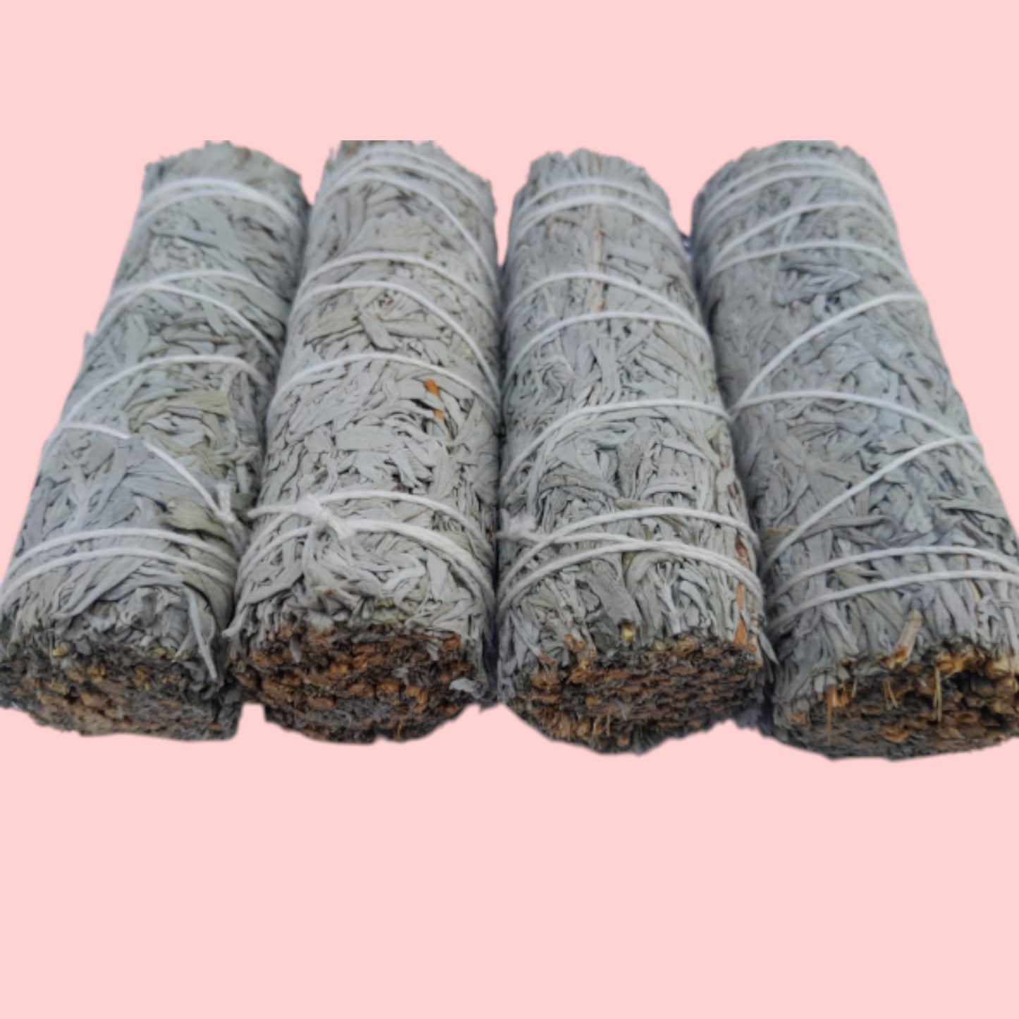 Salvia blanca